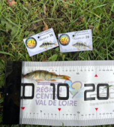 photo prise 52119 par The fisher16