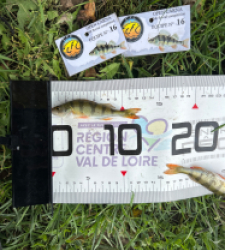 photo prise 52120 par The fisher16