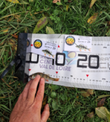 photo prise 52121 par gege10