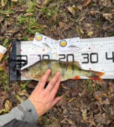 photo prise 52122 par Guillaume vidal