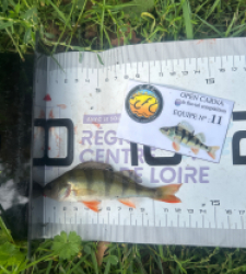 photo prise 52123 par Damien