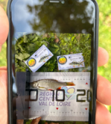 photo prise 52124 par The fisher16