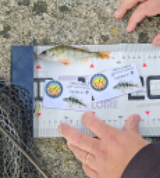 photo prise 52125 par Greg