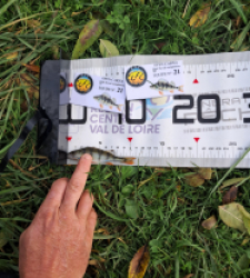 photo prise 52126 par gege10