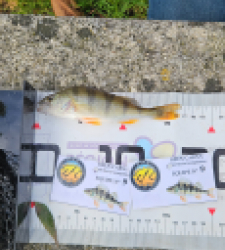 photo prise 52127 par Greg