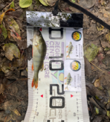 photo prise 52128 par Amandine