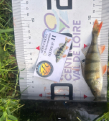 photo prise 52129 par Damien