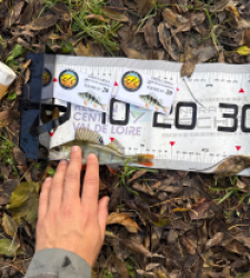 photo prise 52131 par Guillaume vidal