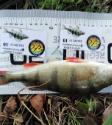 photo prise 52132 par Fred