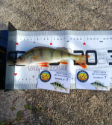 photo prise 52133 par 