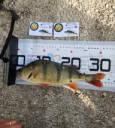 photo prise 52134 par peslinrudy27