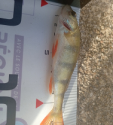 photo prise 52137 par 