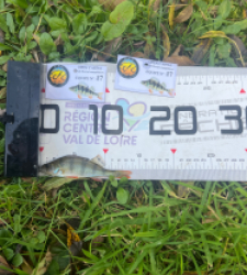 photo prise 52136 par Louismdt