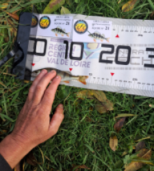 photo prise 52138 par gege10