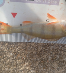 photo prise 52139 par 