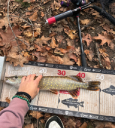 photo prise 52142 par 