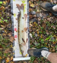 photo prise 52143 par 