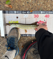 photo prise 52144 par 