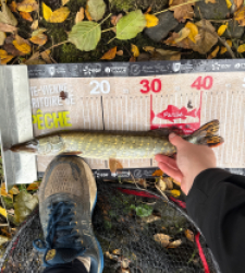 photo prise 52145 par 