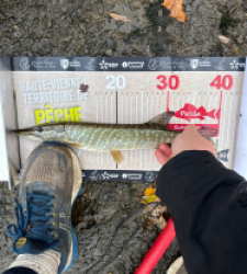 photo prise 52146 par 