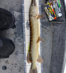 photo prise 52147 par Spinner