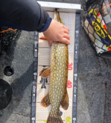 photo prise 52149 par Spinner