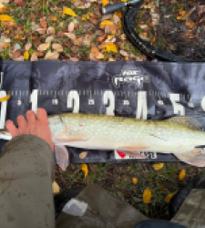 photo prise 52152 par Rimshot12