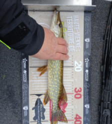 photo prise 52154 par Spinner