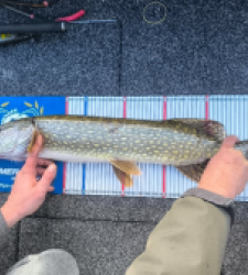 photo prise 52157 par Anthonybondurri