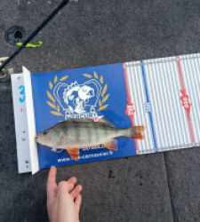 photo prise 52158 par Elo