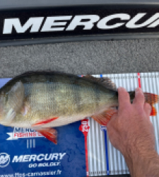 photo prise 52159 par Ina