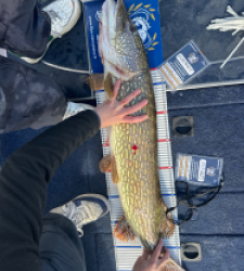 photo prise 52160 par Bigpikelures 