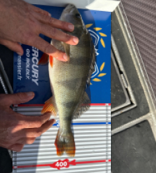 photo prise 52161 par Max