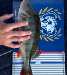 photo prise 52163 par Clem87