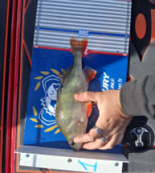 photo prise 52165 par julien