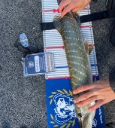 photo prise 52166 par Arthur_fgz