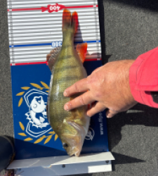 photo prise 52167 par Julien89630