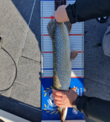 photo prise 52168 par Thierry cheramy