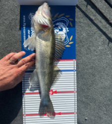 photo prise 52169 par Benjamin 63