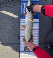 photo prise 52171 par BAPTISTE 