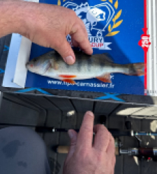 photo prise 52172 par Arnaud