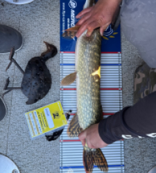 photo prise 52173 par William