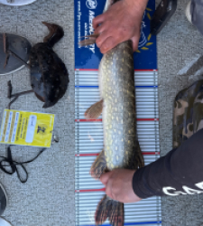 photo prise 52174 par William