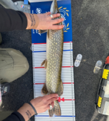 photo prise 52176 par Mattchouki