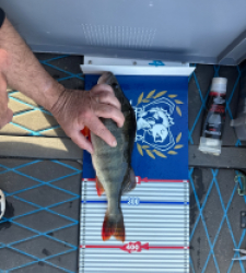 photo prise 52177 par Arnaud