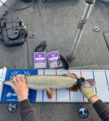 photo prise 52178 par José Oliveira