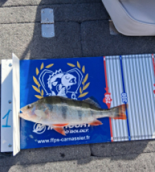 photo prise 52179 par Barth 