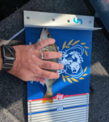 photo prise 52180 par Mathieuarn