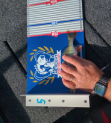 photo prise 52181 par Mathieuarn