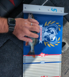 photo prise 52182 par Mathieuarn